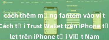 cách thêm mạng fantom vào ví trust wallet Cách tải Trust Wallet trên iPhone tại Việt Nam